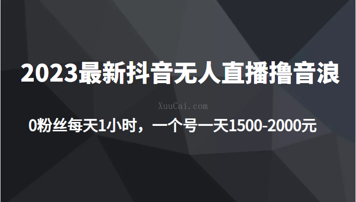 2023最新抖音无人直播撸音浪项目,0粉丝每天1小时,一个号一天1500-2000元-续财库